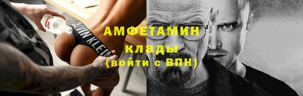 гидра Гусиноозёрск