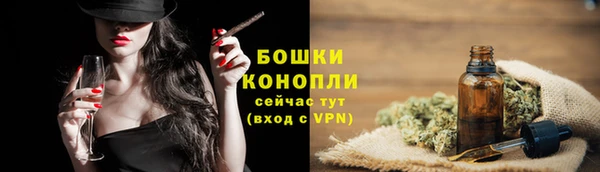 бошки Гусев