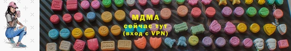 spice Дмитриев