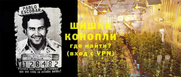 гидра Гусиноозёрск