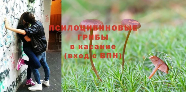 бошки Гусев