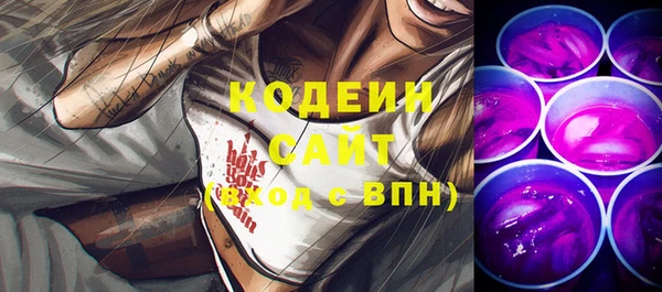мдпв Гусь-Хрустальный