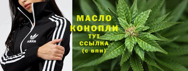 гидра Гусиноозёрск
