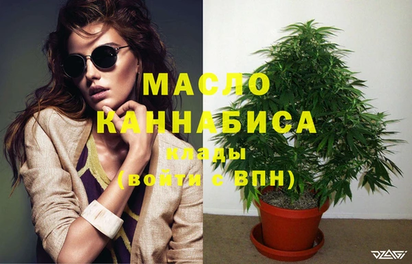 гидра Гусиноозёрск