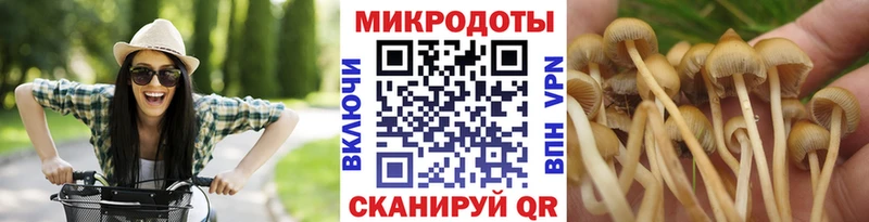Галлюциногенные грибы мухоморы Коркино